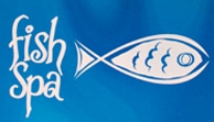 fish spa 1